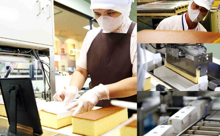 訳アリ 幸せの黄色いカステラ 5パックセット[OBS010] 訳ありカステラ