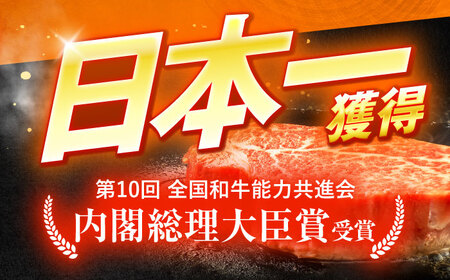 長崎和牛特選ハンバーグ（150ｇ×20個）[OCH016]