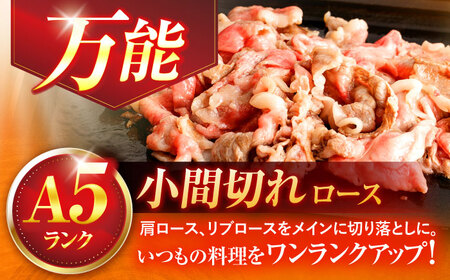 長崎和牛A5ランク牛ロース小間切れ（800g入）[OCH004]