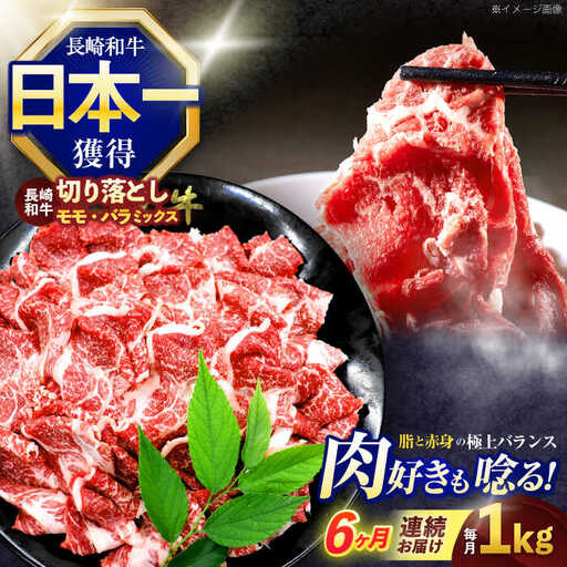 【6回定期便】長崎和牛切り落とし(バラ・モモMIX)約1000g[OCE090]