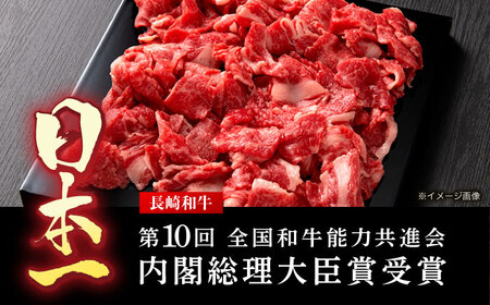 【12回定期便】長崎和牛 切り落とし 600g(300g×2)[OCD020]