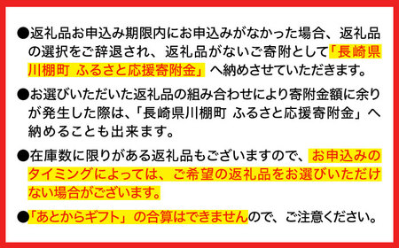【あとから選べる】川棚町ふるさとギフト 100万円分 長崎県[OZZ024]
