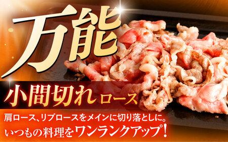 長崎和牛A5ランク ファミリーセット（ロース小間切れ800g＆特選ハンバーグ10個セット）[OCH028]