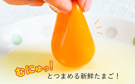 たまご 平飼いもみじたまご 40個 [OAC013]