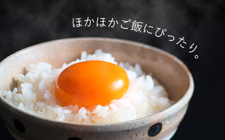 たまご 平飼いもみじたまご 40個 [OAC013]