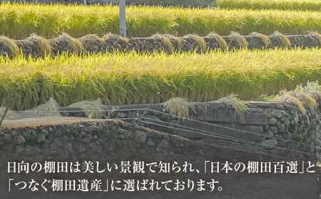 【10回定期便】米 ひなた米 8kg(2kg×4袋)[OCM031]