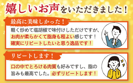 【12/10入金まで年内配送】牛肉 長崎和牛サーロインステーキ 計690g[OAA006] 牛肉ステーキ