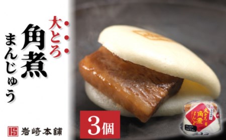 角煮まんじゅう 2種＆角煮まぶし 計9個[OCT005]長崎角煮まん 