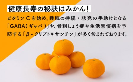 【先行予約】原口 早生みかん  長崎県産 約5kg / 柑橘 早生ミカン 蜜柑 長崎県産みかん 原口みかん 秋蜜柑 ミカン 柑橘 早生ミカン 蜜柑 長崎県産みかん 原口みかん 秋蜜柑 ミカン 柑橘 早生ミカン 蜜柑 長崎県産みかん 原口みかん 秋蜜柑 ミカン 柑橘 早生ミカン 蜜柑 長崎県産みかん 原口みかん 秋蜜柑 ミカン 柑橘 早生ミカン 蜜柑 長崎県産みかん 原口みかん 秋蜜柑 ミカン 柑橘 早生ミカン 蜜柑 長崎県産みかん 原口みかん 秋蜜柑 ミカン 柑橘 早生ミカン 蜜柑 長崎県産みかん 原口みかん 秋蜜柑 ミカン 柑橘 早生ミカン 蜜柑 長崎県産みかん 原口みかん 秋蜜柑 ミカン 柑橘 早生ミカン 蜜柑 長崎県産みかん 原口みかん 秋蜜柑 ミカン 柑橘 早生ミカン 蜜柑 長崎県産みかん 原口みかん 秋蜜柑 ミカン【田崎FARM】[OCU003]