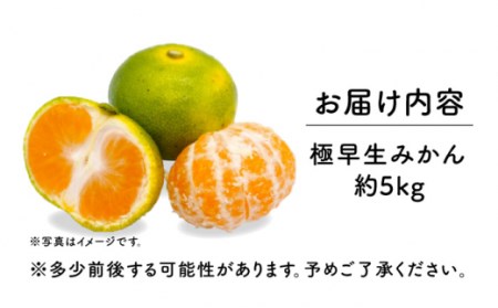 【先行予約・やわらかな酸味が特徴】極早生 みかん 5kg / 薄皮みかん 極早生みかん 早生みかん 柑橘 かんきつ 長崎県産ミカン 蜜柑 さっぱり柑橘 薄皮みかん 極早生みかん 早生みかん 柑橘 かんきつ 長崎県産ミカン 蜜柑 さっぱり柑橘 薄皮みかん 極早生みかん 早生みかん 柑橘 かんきつ 長崎県産ミカン 蜜柑 さっぱり柑橘 薄皮みかん 極早生みかん 早生みかん 柑橘 かんきつ 長崎県産ミカン 蜜柑 さっぱり柑橘 薄皮みかん 極早生みかん 早生みかん 柑橘 かんきつ 長崎県産ミカン 蜜柑 さっぱり柑橘薄皮みかん 極早生みかん 早生みかん 柑橘 かんきつ 長崎県産ミカン 蜜柑 さっぱり柑橘薄皮みかん 極早生みかん 早生みかん 柑橘 かんきつ 長崎県産ミカン 蜜柑 さっぱり柑橘 薄皮みかん 極早生みかん 早生みかん 柑橘 かんきつ 長崎県産ミカン 蜜柑 さっぱり柑橘 薄皮みかん 極早生みかん 早生みかん 柑橘 かんきつ 長崎県産ミカン 蜜柑 さっぱり柑橘薄皮みかん 極早生みかん 早生みかん 柑橘 かんきつ 長崎県産ミカン 蜜柑 さっぱり柑橘薄皮みかん 極早生みかん 早生みかん 柑橘 かんきつ 長崎県産ミカン 蜜柑 さっぱり柑橘 薄皮みかん 極早生みかん 早生みかん 柑橘 かんきつ 長崎県産ミカン 蜜柑 さっぱり柑橘 薄皮みかん 極早生みかん 早生みかん 柑橘 かんきつ 長崎県産ミカン 蜜柑 さっぱり柑橘薄皮みかん 極早生みかん 早生みかん 柑橘 かんきつ 長崎県産ミカン 蜜柑 さっぱり柑橘薄皮みかん 極早生みかん 早生みかん 柑橘 かんきつ 長崎県産ミカン 蜜柑 さっぱり柑橘 薄皮みかん 極早生みかん 早生みかん 柑橘 かんきつ 長崎県産ミカン 蜜柑 さっぱり柑橘 薄皮みかん 極早生みかん 早生みかん 柑橘 かんきつ 長崎県産ミカン 蜜柑 さっぱり柑橘薄皮みかん 極早生みかん 早生みかん 柑橘 かんきつ 長崎県産ミカン 蜜柑 さっぱり柑橘薄皮みかん 極早生みかん 早生みかん 柑橘 かんきつ 長崎県産ミカン 蜜柑 さっぱり柑橘 薄皮みかん 極早生みかん 早生みかん 柑橘 かんきつ 長崎県産ミカン 蜜柑 さっぱり柑橘 薄皮みかん 極早生みかん 早生みかん 柑橘 かんきつ 長崎県産ミカン 蜜柑 さっぱり柑橘 【瀧口ファーム】[OCW001]