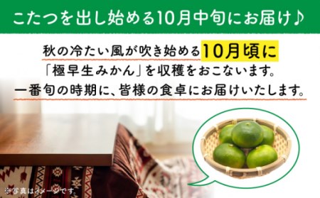 【先行予約・やわらかな酸味が特徴】極早生 みかん 5kg / 薄皮みかん 極早生みかん 早生みかん 柑橘 かんきつ 長崎県産ミカン 蜜柑 さっぱり柑橘 薄皮みかん 極早生みかん 早生みかん 柑橘 かんきつ 長崎県産ミカン 蜜柑 さっぱり柑橘 薄皮みかん 極早生みかん 早生みかん 柑橘 かんきつ 長崎県産ミカン 蜜柑 さっぱり柑橘 薄皮みかん 極早生みかん 早生みかん 柑橘 かんきつ 長崎県産ミカン 蜜柑 さっぱり柑橘 薄皮みかん 極早生みかん 早生みかん 柑橘 かんきつ 長崎県産ミカン 蜜柑 さっぱり柑橘薄皮みかん 極早生みかん 早生みかん 柑橘 かんきつ 長崎県産ミカン 蜜柑 さっぱり柑橘薄皮みかん 極早生みかん 早生みかん 柑橘 かんきつ 長崎県産ミカン 蜜柑 さっぱり柑橘 薄皮みかん 極早生みかん 早生みかん 柑橘 かんきつ 長崎県産ミカン 蜜柑 さっぱり柑橘 薄皮みかん 極早生みかん 早生みかん 柑橘 かんきつ 長崎県産ミカン 蜜柑 さっぱり柑橘薄皮みかん 極早生みかん 早生みかん 柑橘 かんきつ 長崎県産ミカン 蜜柑 さっぱり柑橘薄皮みかん 極早生みかん 早生みかん 柑橘 かんきつ 長崎県産ミカン 蜜柑 さっぱり柑橘 薄皮みかん 極早生みかん 早生みかん 柑橘 かんきつ 長崎県産ミカン 蜜柑 さっぱり柑橘 薄皮みかん 極早生みかん 早生みかん 柑橘 かんきつ 長崎県産ミカン 蜜柑 さっぱり柑橘薄皮みかん 極早生みかん 早生みかん 柑橘 かんきつ 長崎県産ミカン 蜜柑 さっぱり柑橘薄皮みかん 極早生みかん 早生みかん 柑橘 かんきつ 長崎県産ミカン 蜜柑 さっぱり柑橘 薄皮みかん 極早生みかん 早生みかん 柑橘 かんきつ 長崎県産ミカン 蜜柑 さっぱり柑橘 薄皮みかん 極早生みかん 早生みかん 柑橘 かんきつ 長崎県産ミカン 蜜柑 さっぱり柑橘薄皮みかん 極早生みかん 早生みかん 柑橘 かんきつ 長崎県産ミカン 蜜柑 さっぱり柑橘薄皮みかん 極早生みかん 早生みかん 柑橘 かんきつ 長崎県産ミカン 蜜柑 さっぱり柑橘 薄皮みかん 極早生みかん 早生みかん 柑橘 かんきつ 長崎県産ミカン 蜜柑 さっぱり柑橘 薄皮みかん 極早生みかん 早生みかん 柑橘 かんきつ 長崎県産ミカン 蜜柑 さっぱり柑橘 【瀧口ファーム】[OCW001]