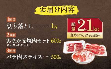 3回定期便】天然イノシシ肉 人気部位 総量2.1kg / ジビエ 猪肉 いのしし肉 ジビエ肉 肉じゃが用肉 イノシシ いのしし焼肉 長崎ジビエ 猪  ぼたん鍋 鍋肉 猪鍋 ジビエ鍋 ジビエ焼肉 ジビエ肉切り落とし肉 ジビエ ジビエ料理 猪焼肉 ジビエ 長崎ジビエ肉 川棚ジビエ 九州産 ...