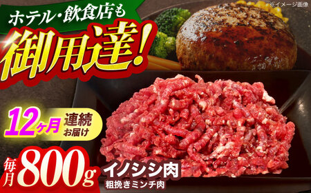 【12回定期便】イノシシ肉粗挽きミンチ肉 800g[OAJ069]