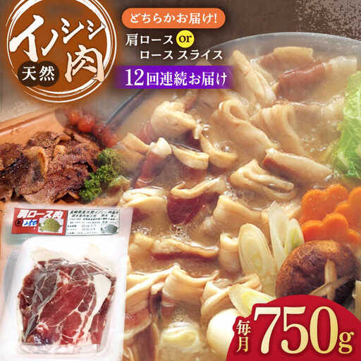 【12回定期便】イノシシ肉 スライス750g[OAJ057]