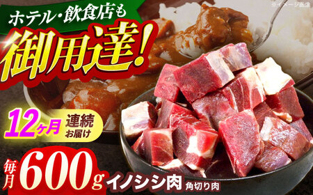【12回定期便】イノシシ肉角切り肉 600g[OAJ046] 11,250円