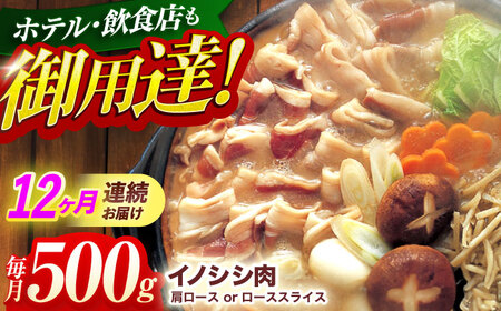 【12回定期便】イノシシ肉 スライス500g[OAJ044]
