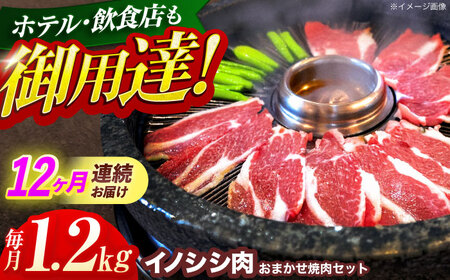 【12回定期便】イノシシ肉焼肉セット 1.2kg[OAJ036]