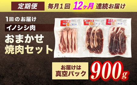 【12回定期便】イノシシ肉焼肉セット 900g[OAJ033]