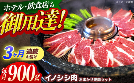 【3回定期便】イノシシ肉焼肉セット 900g[OAJ031]