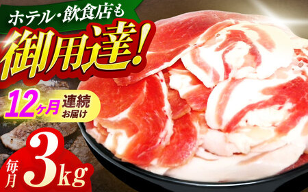 【12回定期便】イノシシ肉切り落とし3kg[OAJ027] 10,500円