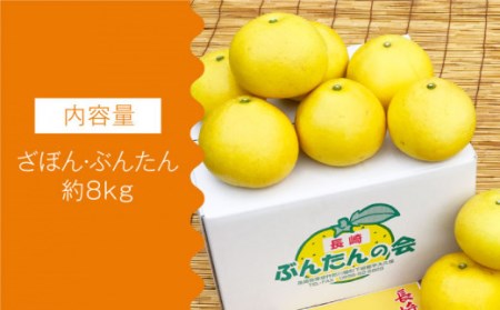 【数量限定】長崎ざぼん&ぶんたん セット 約8kg 【長崎ぶんたんの会 】 [OAF008] / ミカン 柑橘 果物  フルーツ かんきつ ザボン ブンタン 朱欒 文旦 食べ比べ 柑橘類 セット 詰め合わせ みかん 蜜柑