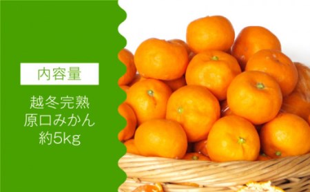 【数量限定】越冬完熟 原口 みかん 約5kg[OAF010] ミカン