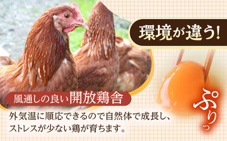 【3回定期便】産みたて新鮮たまご 野中のたまご 計120個[OAC004]