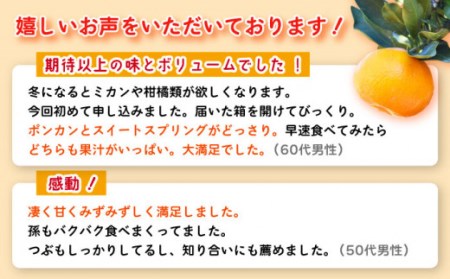 【数量限定】ポンカン&スィートスプリング 食べ比べセット 約9kg[OAF009]