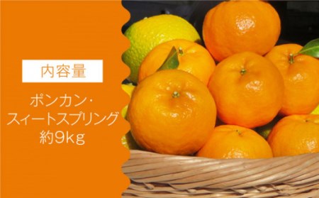 【数量限定】ポンカン&スィートスプリング 食べ比べセット 約9kg[OAF009]