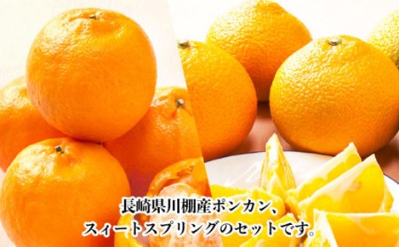 【数量限定】ポンカン&スィートスプリング 食べ比べセット 約9kg[OAF009]