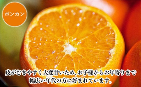 【数量限定】ポンカン&スィートスプリング 食べ比べセット 約9kg[OAF009]