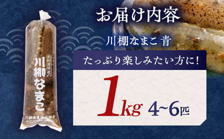 【先行受付】川棚 生なまこ 約1kg [OAI001] 正月 海鮮 なまこ