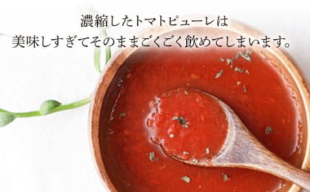 【6回定期便】小串トマト濃厚150% トマトピューレ「OGUSHI」160g×10本セット[OBH003] トマト