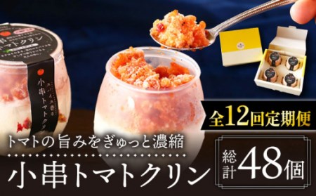【12回定期便】アイス シャーベット 小串トマトクリン 計48個[OBJ007] アイス シャーベット