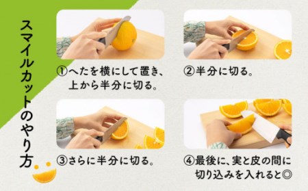 【先行予約】長崎県産スイートスプリング 約10kg[OCU001] みかん ミカン