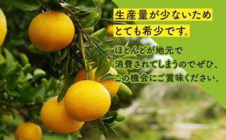 【先行予約】長崎県産スイートスプリング 約10kg[OCU001] みかん ミカン