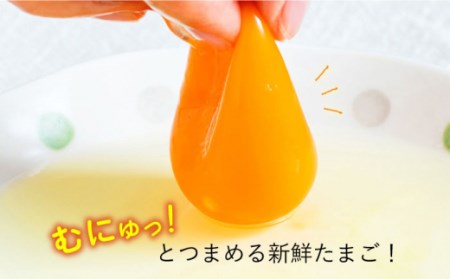 たまご 平飼いもみじたまご 20個[OAC014]