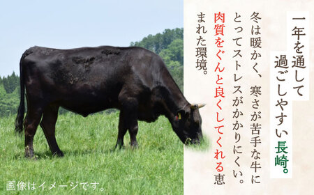 牛肉 長崎和牛 特選切り落とし 600g [OAA016] 牛肉切り落とし
