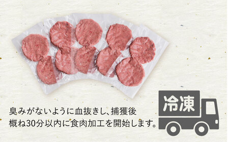 猪肉ハンバーグ750gセット（10個入り 5パック詰め合わせ）長崎県波佐見産 イノシシ肉100%使用【モッコ】[CE10]