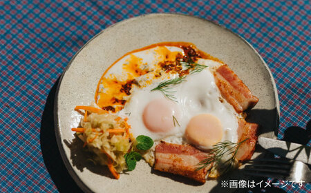 【波佐見焼 マルヒロ】BARBAR たたらシリーズ 8寸皿 2点セット[EB183] 波佐見焼