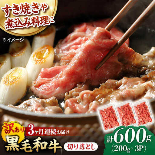 【第3回定期便】【訳あり】 切り落とし 600g 長崎和牛 黒毛和牛  【夢ファームシュシュ】 [WF35] 肉 牛肉 しゃぶしゃぶ すき焼き 訳アリ ワケあり 定期便 九州 九州産
