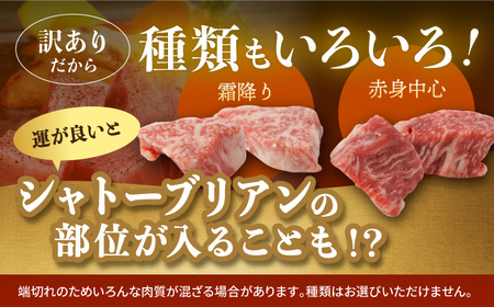 【訳あり】長崎和牛 ヒレ サイコロステーキ 計300g以上【肉のマルシン】 [FG46] 牛肉 希少部位 ヒレ ヒレ肉 ヒレステーキ サイコロステーキ ひれ