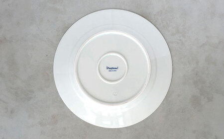 【大感謝祭対象】【波佐見焼】dye8号リムプレート 25cm皿 ラウンド柄 2点セット【西海陶器】[OA389]