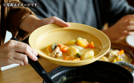 【波佐見焼】motte プレートL ブルー 2点セット 【アイユー】[UA32]