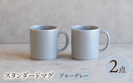 【波佐見焼】 スタンダードマグ ブルーグレー 2点セット 【西海陶器】[OA403]