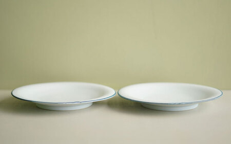 【波佐見焼】パスタプレート 2枚セット【アトリエビスク】[RD30]