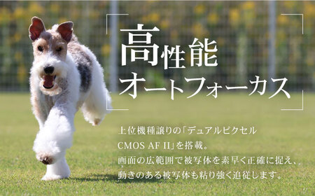 Canon EOS R50 ボディのみ ブラック【長崎キヤノン】[MA23] ミラーレスカメラ 本体 AF 高性能