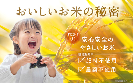 【全3回定期便】令和7年度米4kg・放し飼いたまご20個セット ヒノヒカリれんげ米 元気たまご【浅田峠自然塾】[EA20]