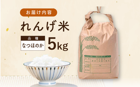 【令和7年度米】 れんげ米 なつほのか 5kg【ふきの陶】[NF19] 白米 5kg 白米