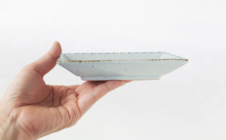 【波佐見焼】DINOSAUR　長角皿　小　4点セット【studio wani】[MB96]